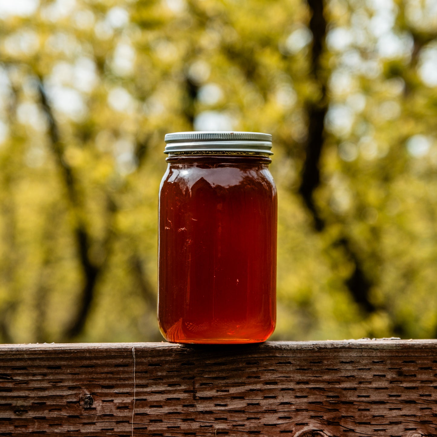 Sierra Wildflower Honey - 2 Lbs 12 Oz Glass Jar
