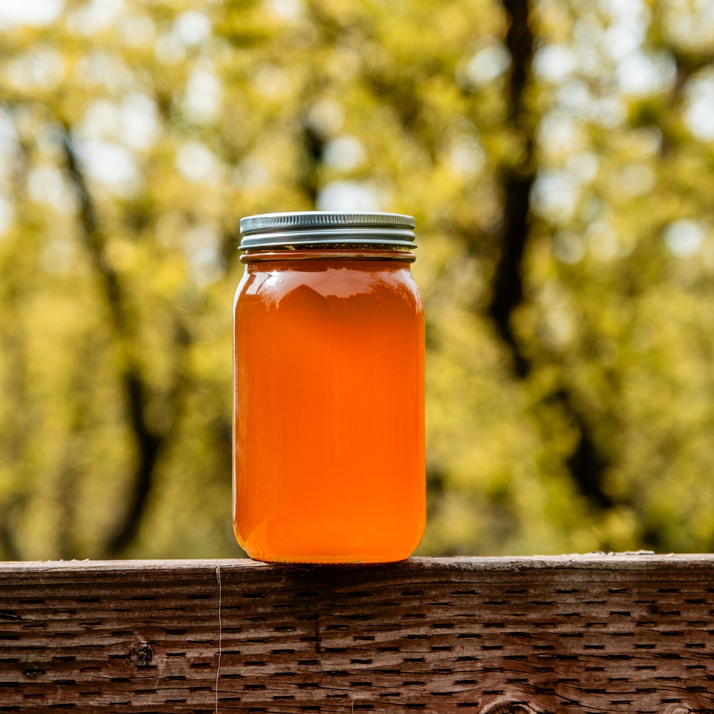 Valley Wildflower Honey - 2 Lbs 12 Oz Glass Jar