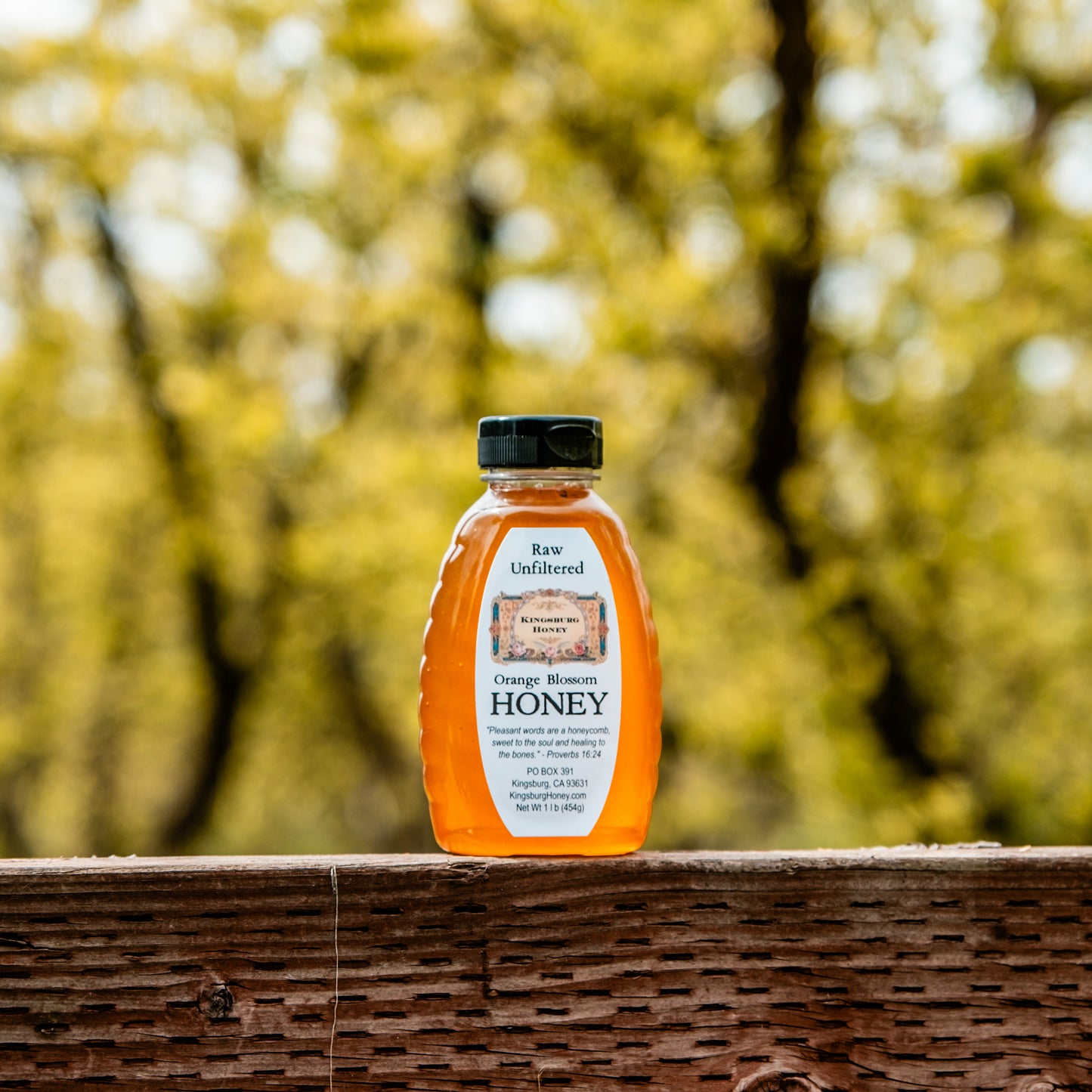 Orange Blossom Honey - 1 lb Plastic Jar