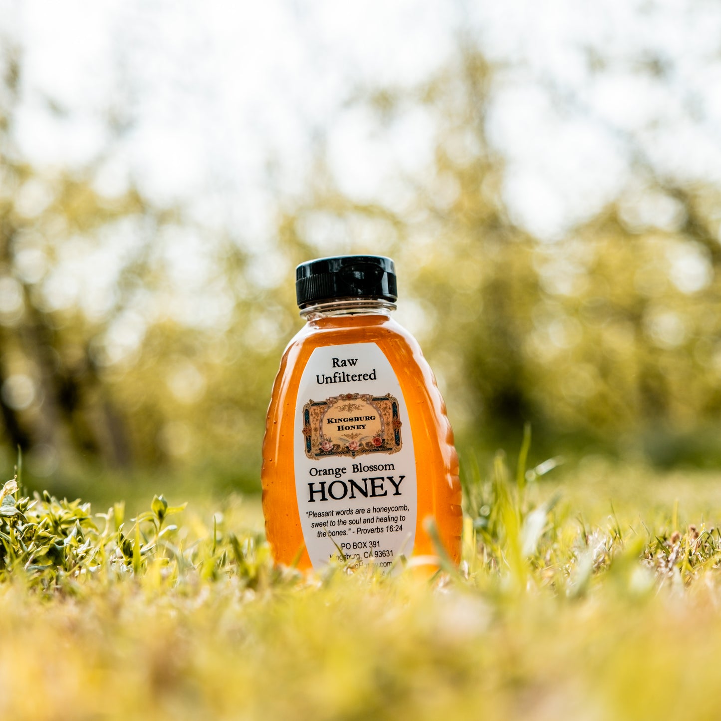 Orange Blossom Honey - 1 lb Plastic Jar