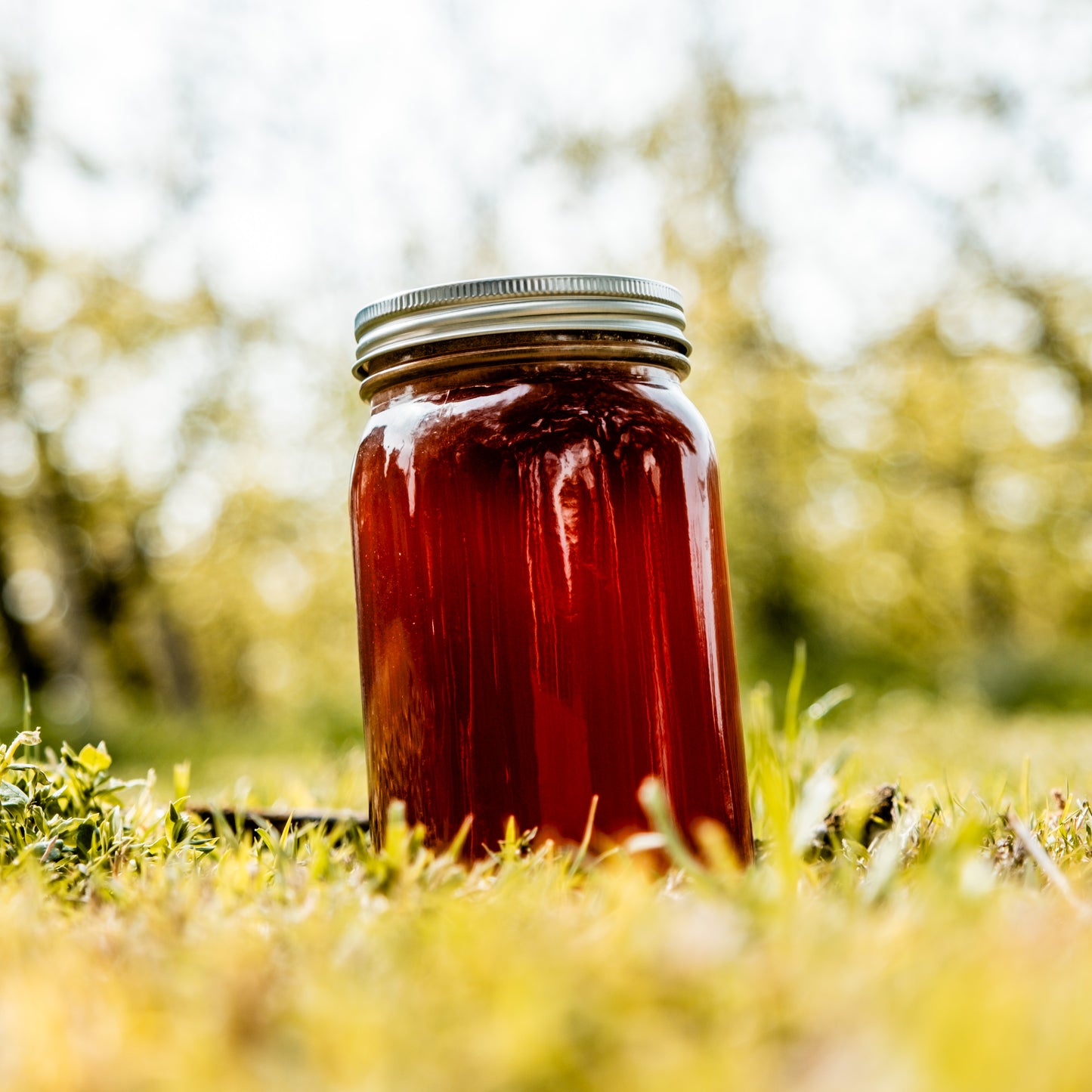Sierra Wildflower Honey - 2 Lbs 12 Oz Glass Jar