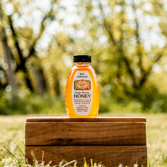 Orange Blossom Honey - 1 lb Plastic Jar